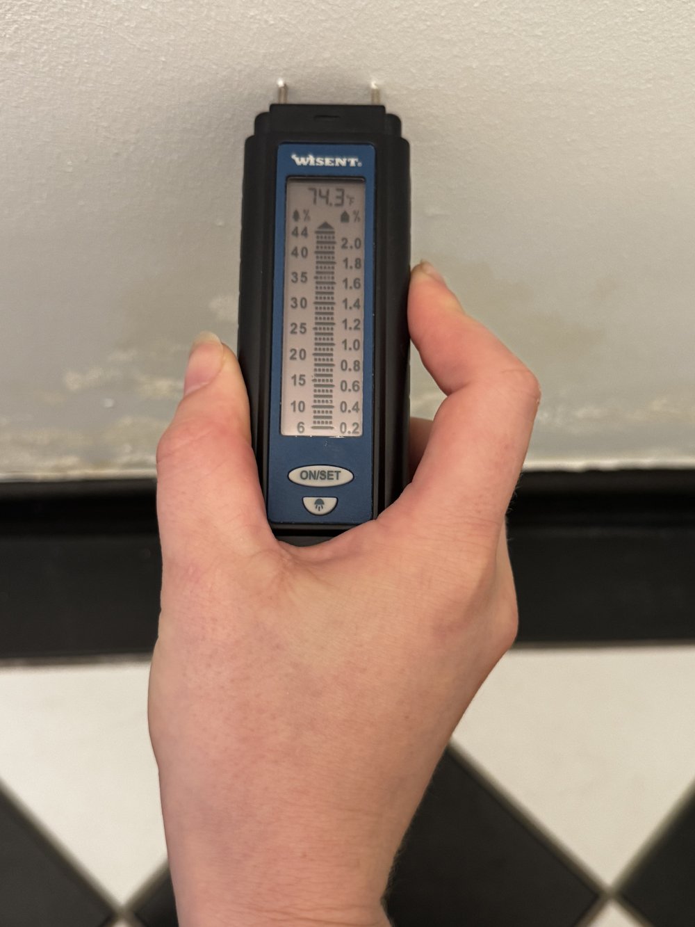 Moisture meter: damp measured, not guessed